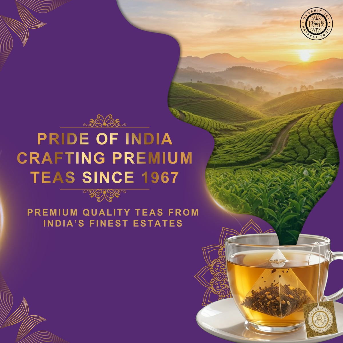 Calm & Relax - Bedtime Tea Bags