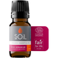 Organic Rose Geranium Essential Oil (Pelargoneum Graveolens) 10ml