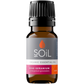 Organic Rose Geranium Essential Oil (Pelargoneum Graveolens) 10ml