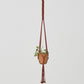 Bluefields Macrame Plant Holder | Tile Red