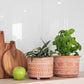 Hand Etched Terracotta Pot - Large