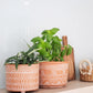 Hand Etched Terracotta Pot - Large