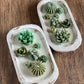 Arizona Dream Cactus Garden Candle — Sculptural Soy Wax in Carved Wood Bowl