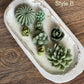 Arizona Dream Cactus Garden Candle — Sculptural Soy Wax in Carved Wood Bowl