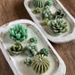 Arizona Dream Cactus Garden Candle — Sculptural Soy Wax in Carved Wood Bowl