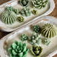 Arizona Dream Cactus Garden Candle — Sculptural Soy Wax in Carved Wood Bowl